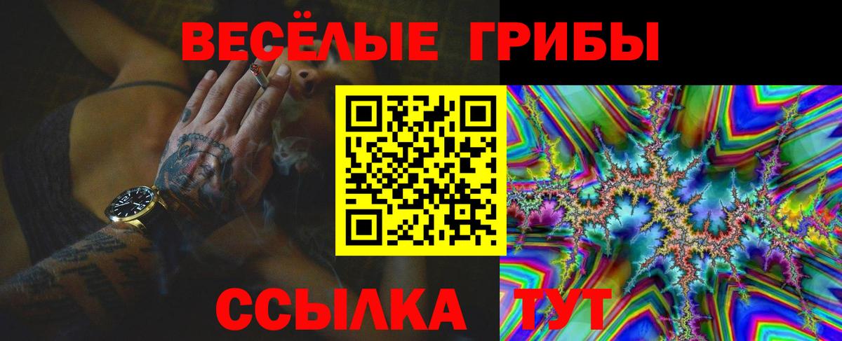 Псилоцибиновые грибы прущие грибы Скопин